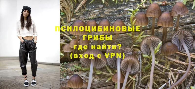 Галлюциногенные грибы Magic Shrooms  купить наркотики цена  мега зеркало  Коломна 